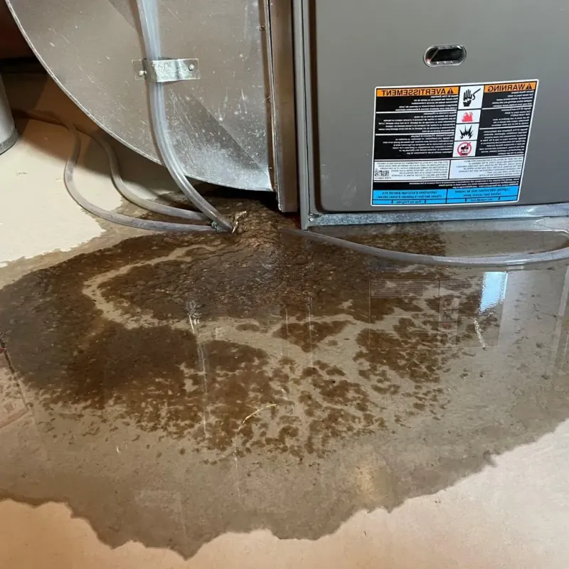 Pipe Burst and Leak Restoration in Franklin County, OH