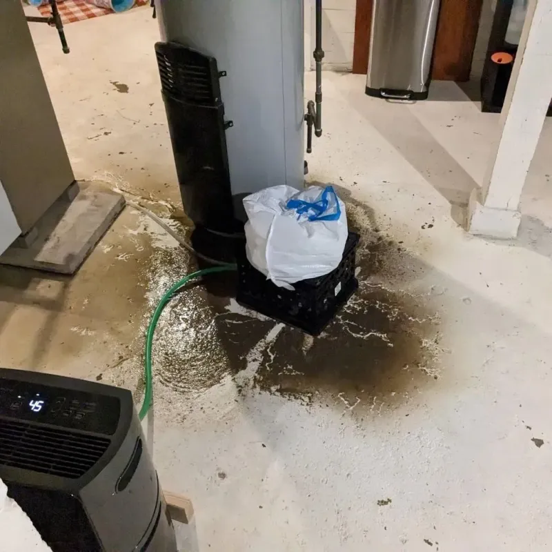 Sewage Backup Cleanup Service in Franklin County, OH